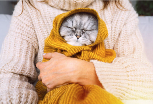Sweater Weather: Embracing Cozy Knits And Warm Hugs