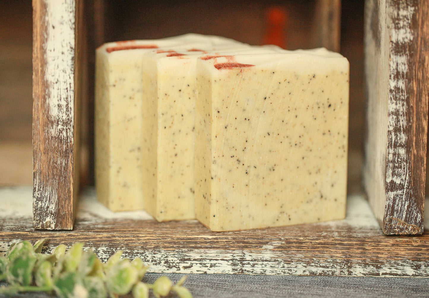 Coffeehouse Soap Bar – Exfoliating Cold Process Soap - Cashmere Daisy