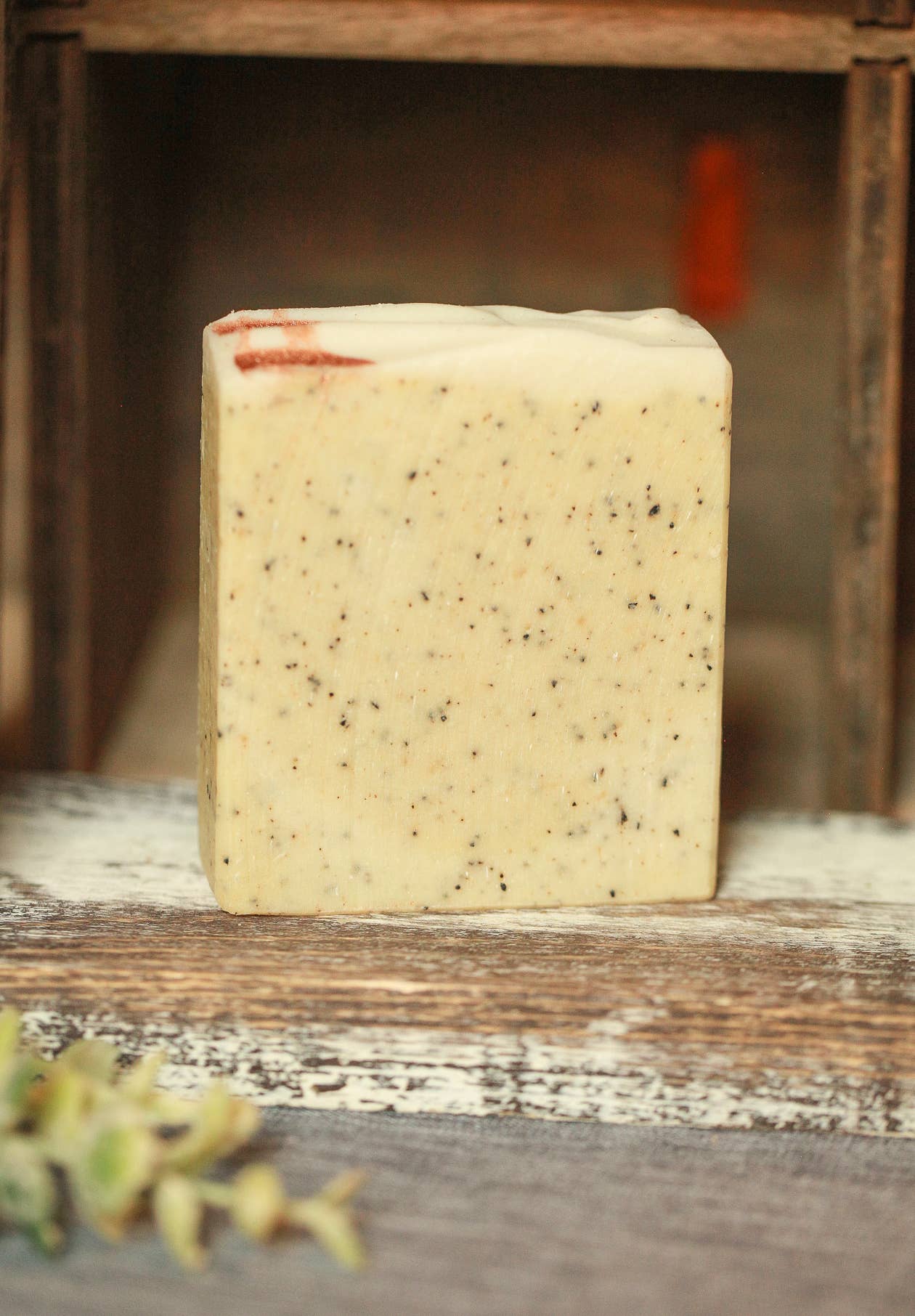 Coffeehouse Soap Bar – Exfoliating Cold Process Soap - Cashmere Daisy