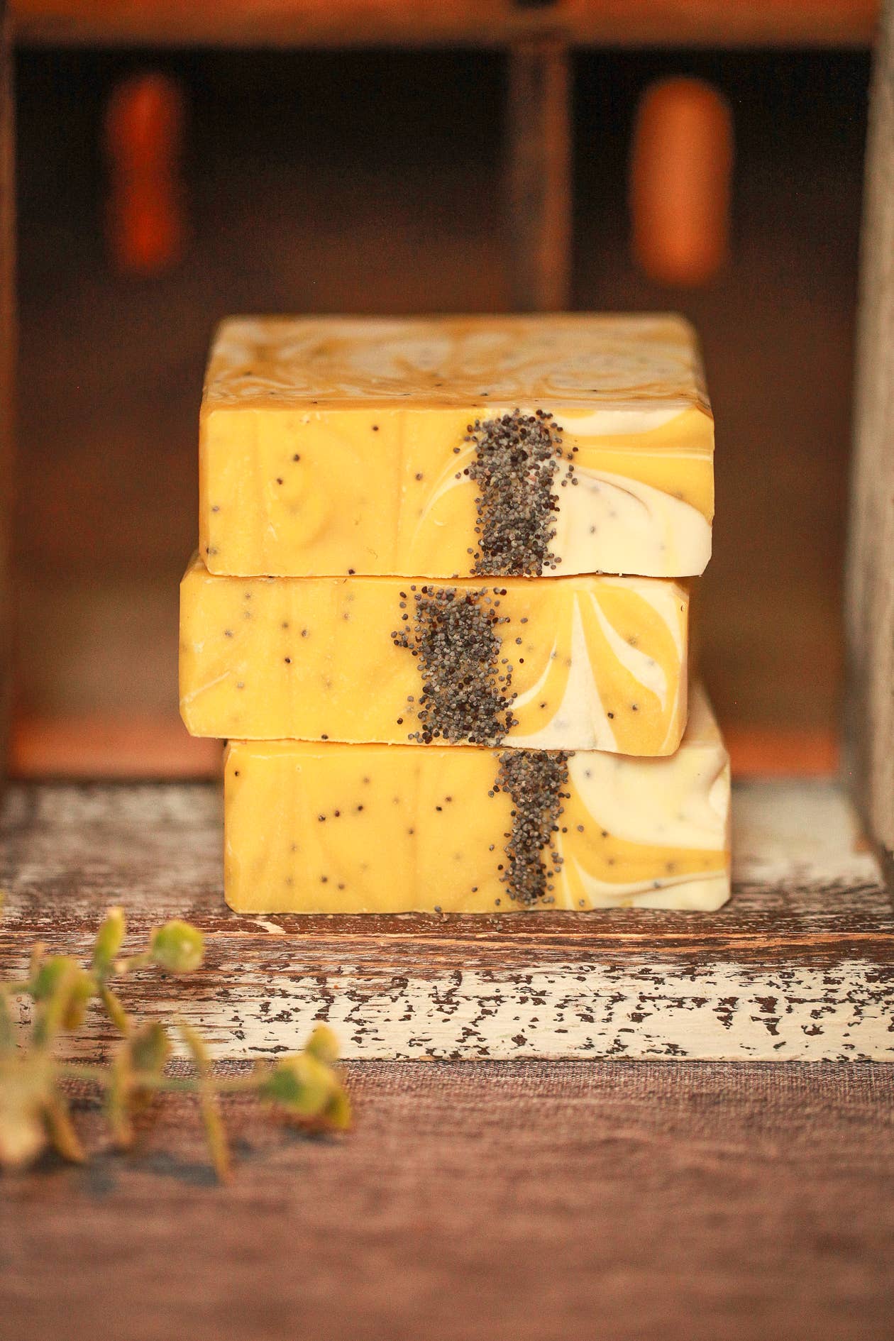 Lemon Poppyseed Artisan Bar Soap – Cold Process Soap - Cashmere Daisy